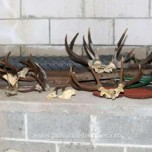 Descoperiri de arme și contrabandă în Maramureș