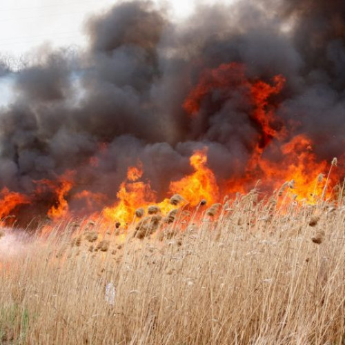 Incendiu în localitatea Rozavlea, anchetă în curs