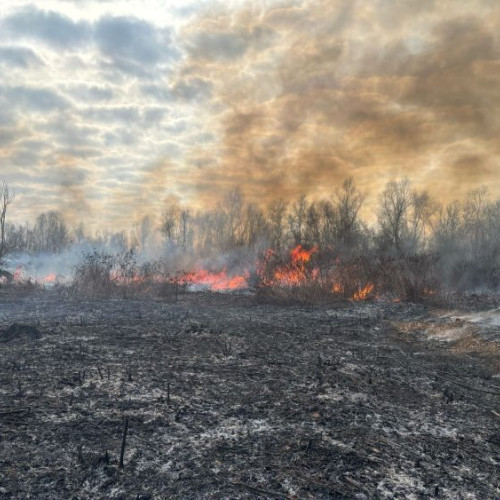 Creșterea incendiilor de vegetație în Maramureș