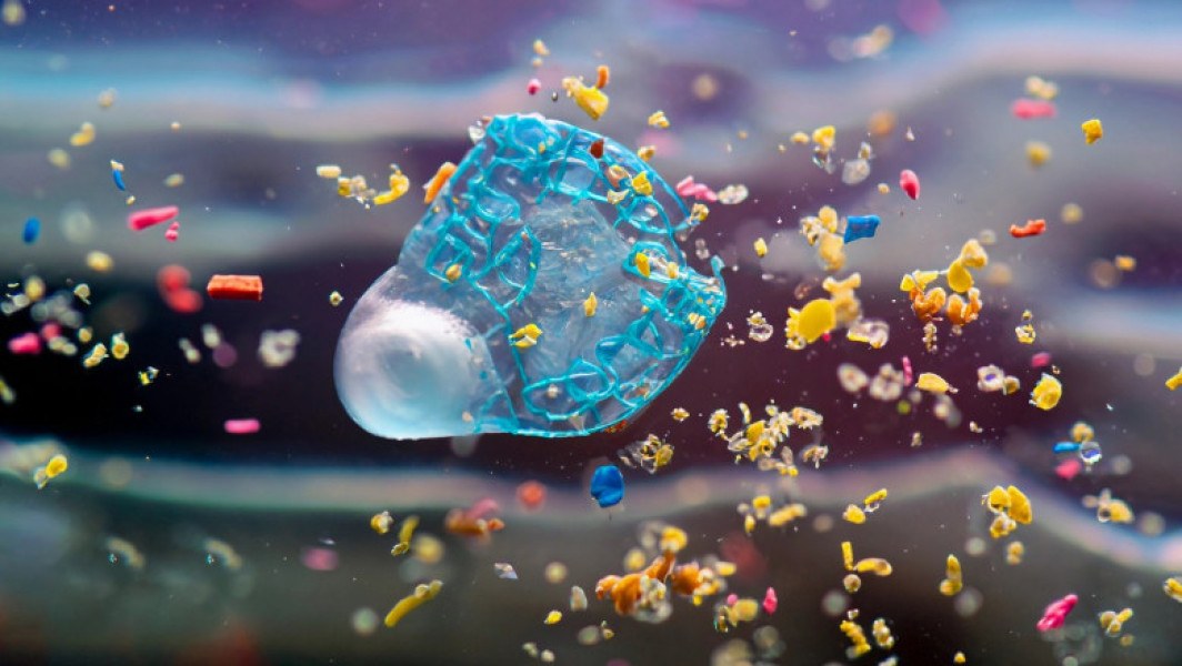 Poluarea cu microplastice afectează rezervele de alimente la nivel global