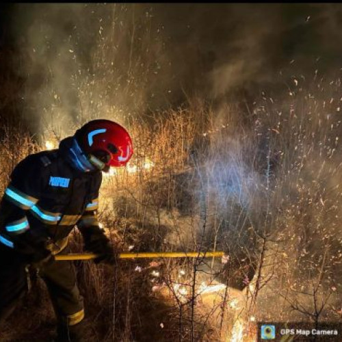 Patriarhia Română face apel la rugăciune pentru incendiile de vegetație