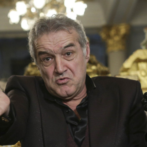 Gigi Becali își exprimă nemulțumirea față de candidatura Anamariei Gavrila