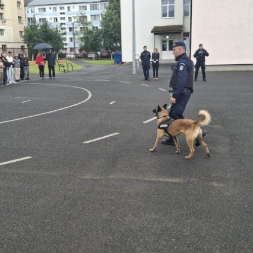 Elevii de la Școala Gimnazială &quot;Ion Luca Caragiale&quot; din Baia Mare au primit vizita Jandarmeriei