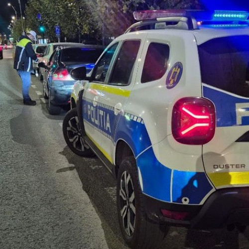 Descoperire macabră în Baia Mare