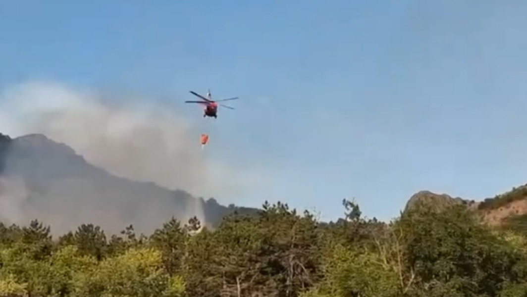 Video Incendiul de vegetație uscată în județul Tulcea riscă să se extindă la mai multe locuințe. Intervine și un elicopter BlackHawk