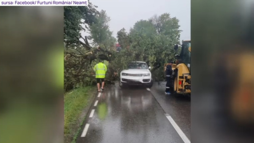 Video Rupere de nori în Iași și Neamț. Au căzut bucăți mari de grindină, zeci de copaci au fost doborâți de vânt