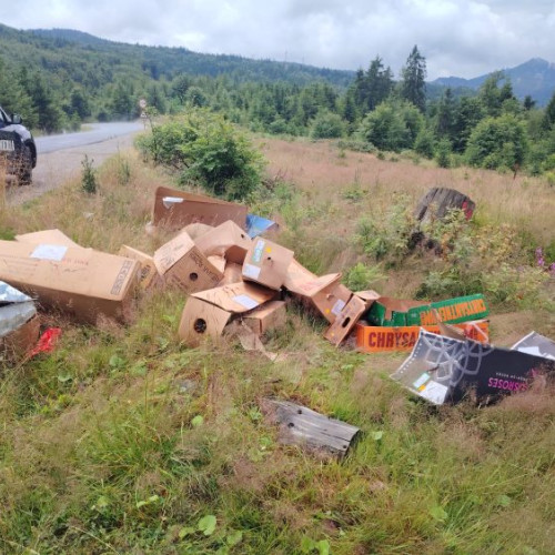 Aruncarea deșeurilor în natură, sancționată de jandarmii montani de la Cavnic
