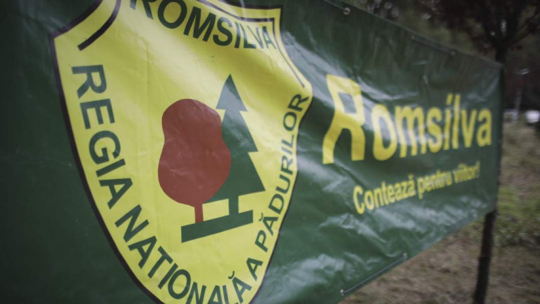 Sindicaliștii din silvicultură protestează la Guvern: „Reorganizarea Romsilva după un proiect făcut pe colţul mesei este o greşeală”