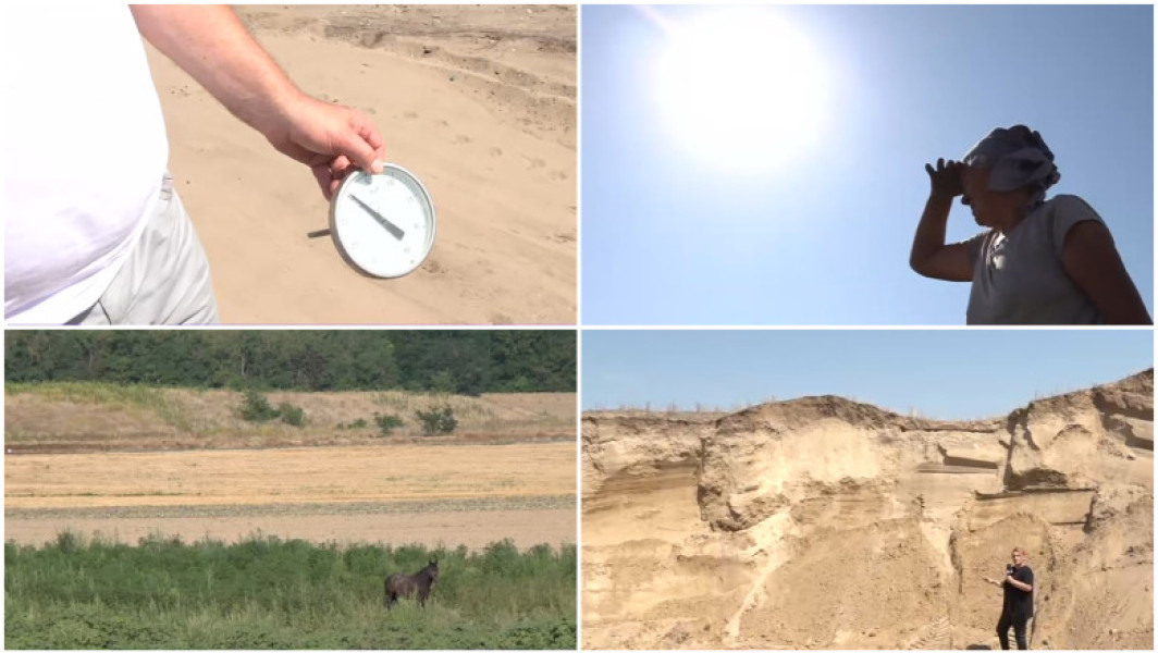 Video Situație critică în „Sahara Olteniei”, unde nu a mai plouat de trei luni. Cum arată viața de agricultor în câmp, la peste 40° Celsius