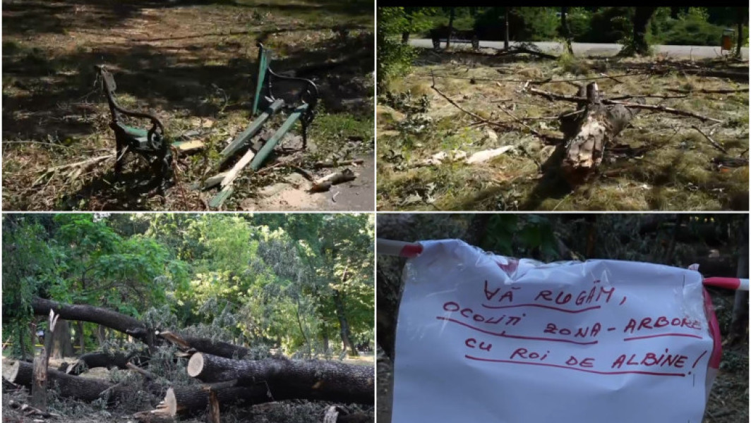Video Imagini dezolante în marile parcuri ale Bucureștiului: Copaci căzuți și amenajări distruse după furtună. Primăria e de negăsit