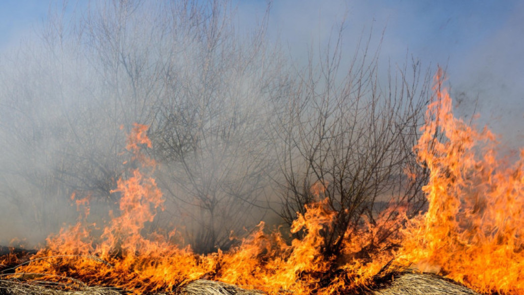Foto Incendiu puternic lângă Ploiești. Focul s-a extins pe 30 de hectare și riscă să ajungă în apropierea unui cartier cu blocuri