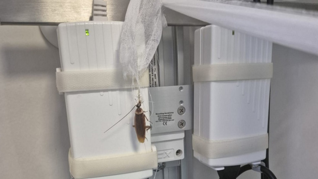 Video&Foto Imagini revoltătoare cu gândaci la Centrul de Arși de la Floreasca. Ministerul Sănătății face verificări