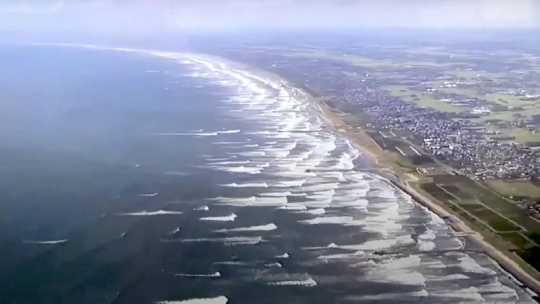 Video Imagini impresionante în Japonia: balene eșuate pe țărmul din Tateyama după cutremurul puternic din Kamceatka urmat de un tsunami