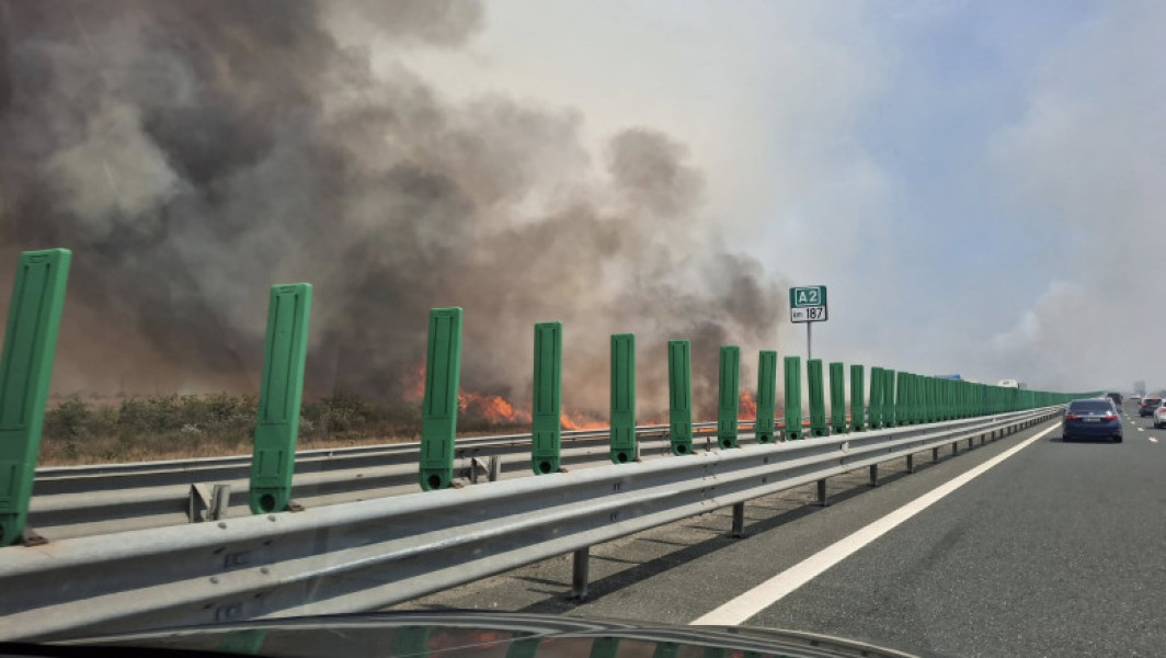 Video Incendiu de vegetație lângă Autostrada Soarelui: pompierii intervin cu mai multe autospeciale. Traficul rutier, oprit