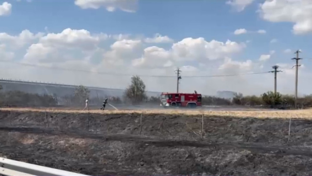 Video Incendiu în zona Autostrăzii A2 București - Constanța. Anunțul IGPR