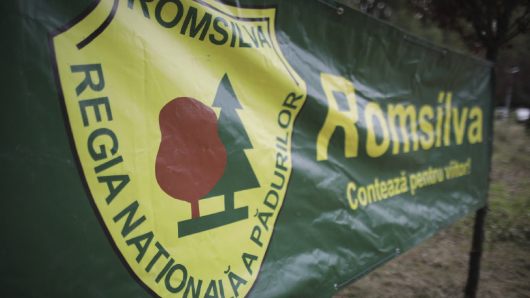 Noi contracte pentru membrii CA al Romsilva cu indemnizații reduse cu peste 50%. Buzoianu: „Regia se află într-o situație critică”