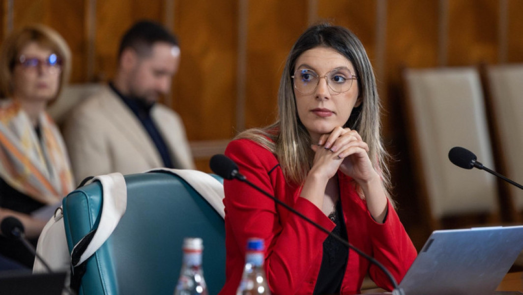 Replica AMEPIP pentru ministra Mediului, după ce s-a declarat nemulțumită de numirile în CA Romsilva
