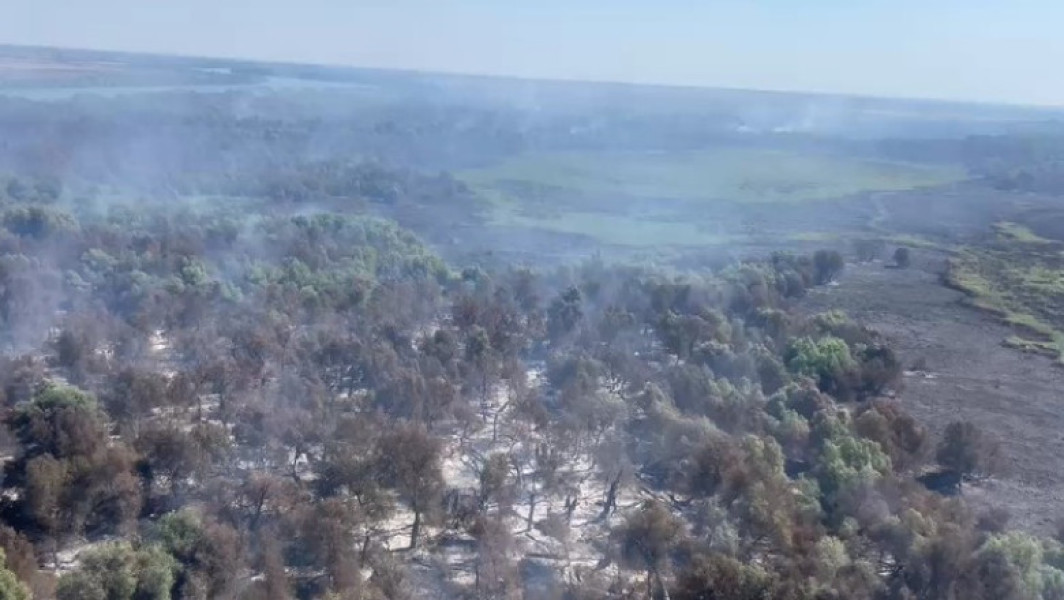 Video Incendii în Delta Dunării. Pompierii încearcă stingerea focului din aer și de pe apă