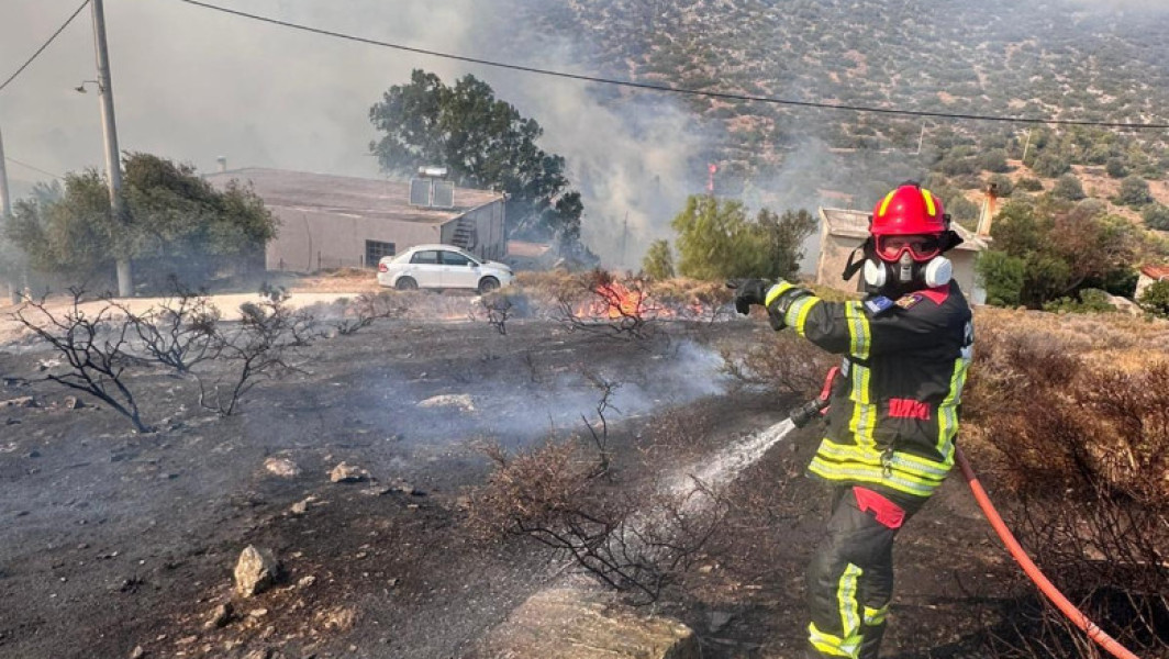 Video Pompierii români avertizează: peste 250 de incendii au izbucnit în doar 24 de ore. Câte hectare au ars și ce i se recomandă populației
