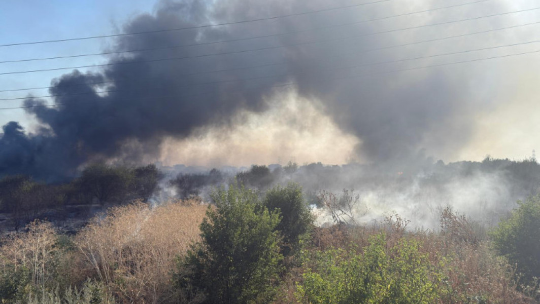 Video Incendiu de vegetație într-o comună din Ilfov. ISU: „Există pericolul de propagare la case. Se evacuează persoanele din zona afectată”