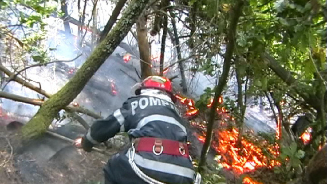 Incendiu de vegetație uscată în județul Hunedoara, aproape de o mănăstire