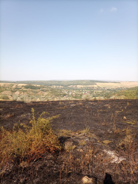 Incendiu de vegetație uscată la Bozieni: 20 de hectare mistuite de flăcări