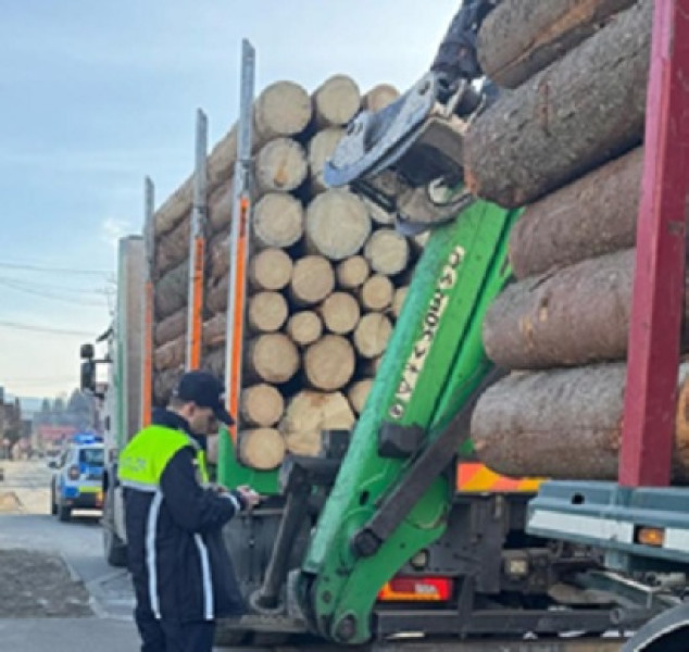 Acțiune în Vișeu de Sus pentru combaterea transportului ilegal de lemne