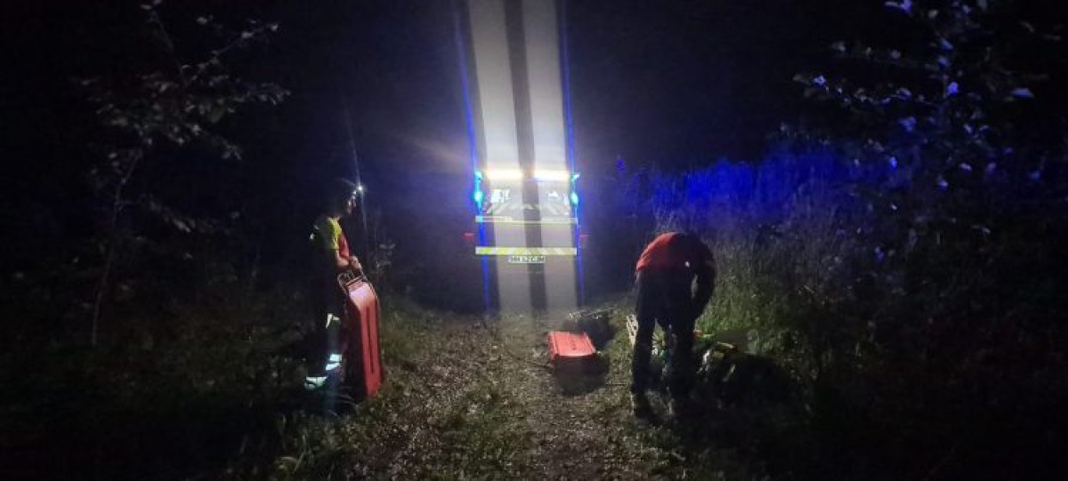 Un bărbat rănit grav după prăbușirea unui copac pe Valea Roșie, Baia Mare