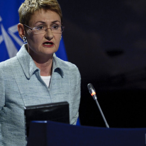 Oana Lungescu: retragerea unor trupe americane nu afectează securitatea României